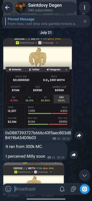 Telegram channel screenshot for 'Saintdovy Degen' showing a pinned message about dropping only gamble tickers, with a meme coin dashboard for a 'SWOGE' token showing WETH pricing, $114K liquidity, $656K FDV, and 29.31% 1H gains.