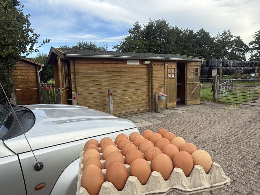 A wooden farm stand with a sign reading 'HONESTY BOX' next to a white car, with a carton of brown eggs displayed on the car's hood.