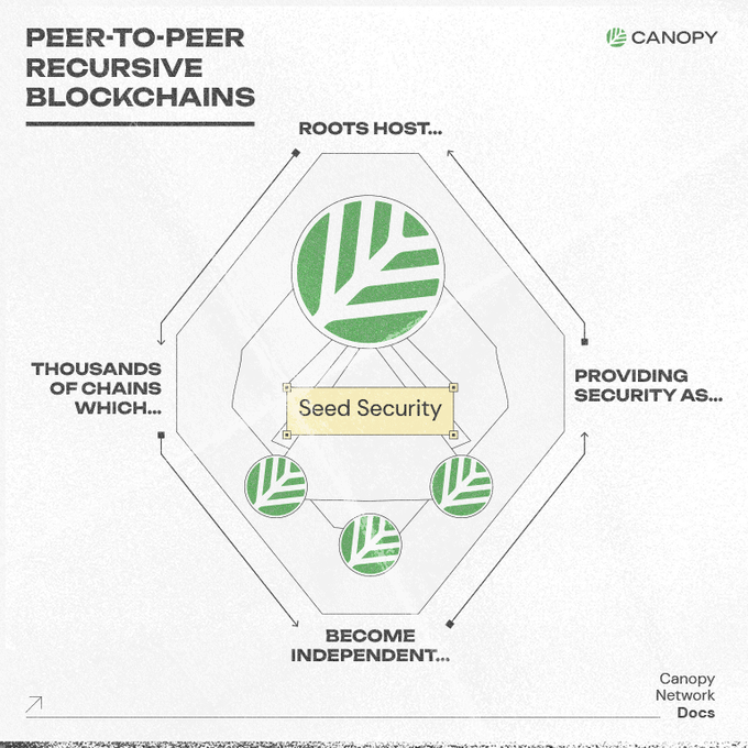 A diagram from "Canopy Network Docs" titled "PEER-TO-PEER RECURSIVE BLOCKCHAINS," illustrating a hexagonal structure with "Seed Security" at the center connected to leaf icons, with surrounding text about roots and independence.