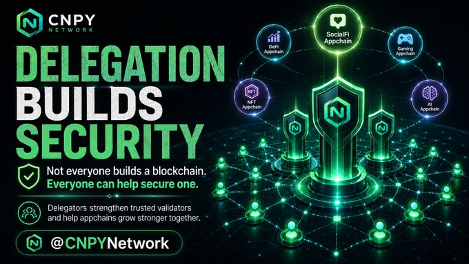 A promotional graphic for CNPY Network titled 'Delegation Builds Security,' featuring a network diagram of appchains (DeFi, SocialFi, Gaming, NFT) and text about delegators strengthening trusted validators.