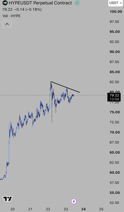 A HYPEUSDT perpetual contract chart on TradingView shows the token at $79.22, down 0.18% over 24 hours, with the price currently pressing against a descending trendline resistance—visually supporting the "looks sick" sentiment as momentum appears to stall near the $80 level.