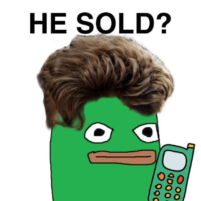A meme featuring a green cartoon character with messy brown hair holding an old cell phone, with the text 'HE SOLD?' at the top.