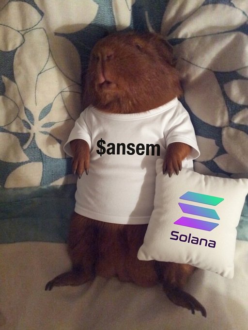 A meme photo of a capybara wearing a white t-shirt with '$ansem' printed on it, holding a Solana-branded pillow on a floral couch.