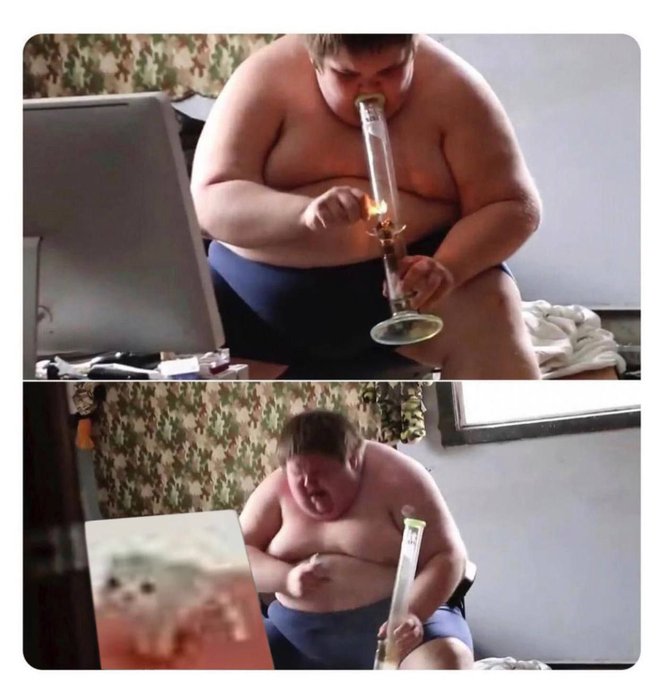 A two-panel meme showing a heavyset man in underwear smoking a large bong and then reacting while a small dog meme image is overlaid in the second panel.