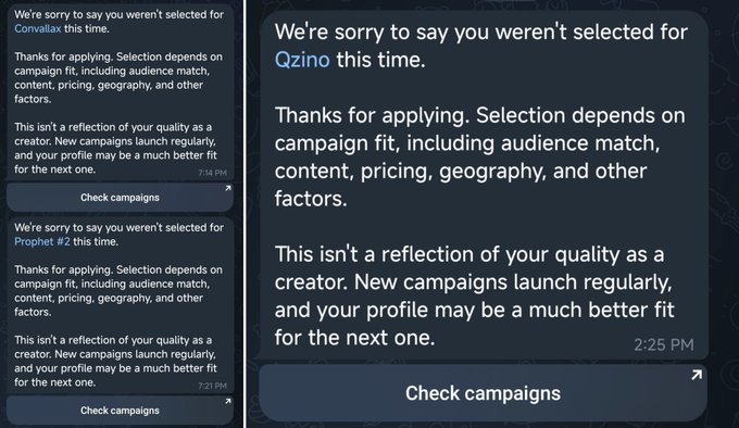 A close-up of the same rejection messages from before, showing 'We're sorry to say you weren't selected' for Qzino, Convallax, and Prophet #2 with 'Check campaigns' buttons.