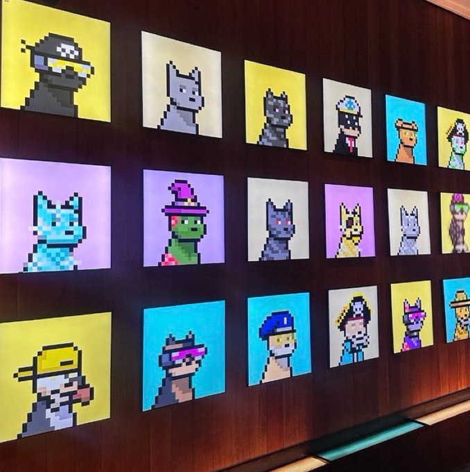 A display of pixelated NFT-style portraits featuring various animal characters with hats and accessories, mounted as illuminated panels on a wooden wall.