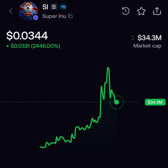 A price chart of the meme coin Super Inu ($SI) shows a massive 2446% gain, currently priced at $0.0344 with a $34.3M market cap, visually validating the post's claim that a $50 investment would now be worth $343,000. The steep green upward trend on the chart illustrates the dramatic surge referenced in the boastful caption.