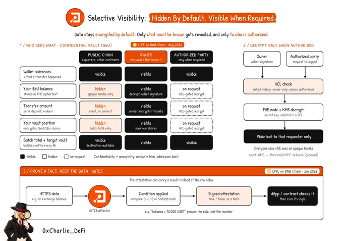 A “Selective Visibility” diagram explains data being hidden by default and revealed only to authorized parties, with sections about confidential vault data, access controls, and zk-TLS.