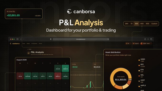 A screenshot of the canborsa website showing a 'P&L Analysis' dashboard for crypto portfolios, featuring an All-Time P&L of +$3,801.65 and total assets of $11,303.01.
