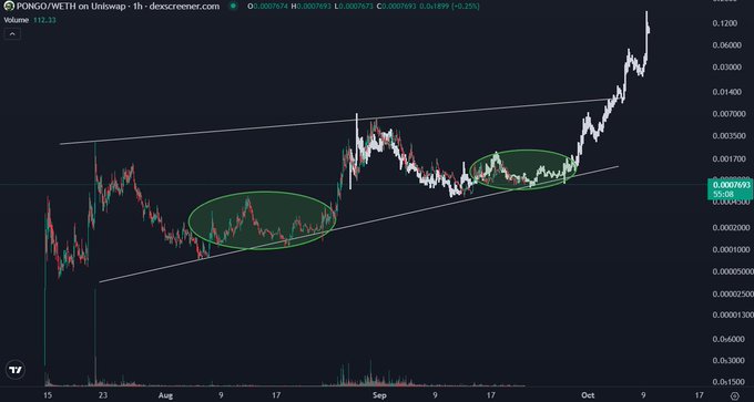 A candlestick chart of PONGO/WETH on Uniswap shows a price of $0.0007693, with green circles highlighting accumulation phases and an ascending trendline that led to a recent breakout toward $0.00076. The chart visually supports the post's claim about Pongo's consistent accumulation phases and drawdowns preceding strong upward moves.
