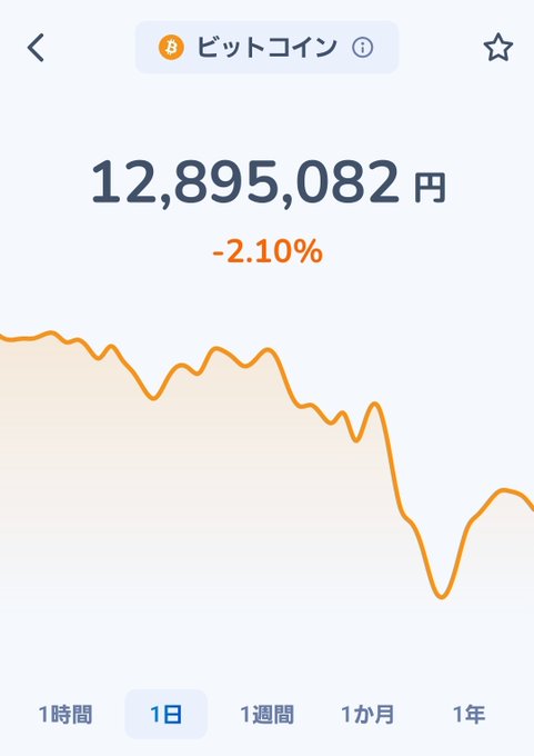 A screenshot of a Bitcoin (ビットコイン) price chart showing a value of 12,895,082円 with a -2.10% decline over a 1-day period.