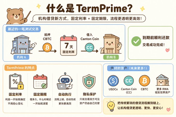 Chinese promotional infographic explaining TermPrime, an institutional crypto lending product with fixed rates and terms, featuring a bear mascot and illustrations of transactions involving CBTC and Canton Coin (CC).