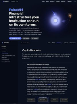 A webpage from Pulsate titled 'PulseVM: Financial infrastructure your institution can run on its own terms,' discussing capital markets and tokenized instruments on the Solana blockchain.