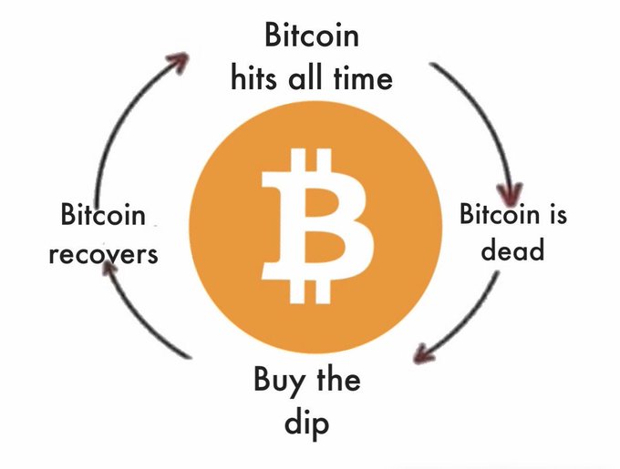The image illustrates Bitcoin's cyclical pattern with the Bitcoin logo at the center, surrounded by four stages connected by arrows: "Bitcoin hits all time [high]," "Bitcoin is dead," "Buy the dip," and "Bitcoin recovers." This visual perfectly complements the post's description of Bitcoin's predictable market cycle, emphasizing that despite price fluctuations, human psychology of euphoria and panic remains constant throughout.