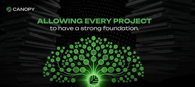 A promotional graphic for 'CANOPY' with green text reading 'ALLOWING EVERY PROJECT to have a strong foundation,' featuring a glowing green tree whose leaves are made of cryptocurrency coin icons, set against a dark book-lined background.