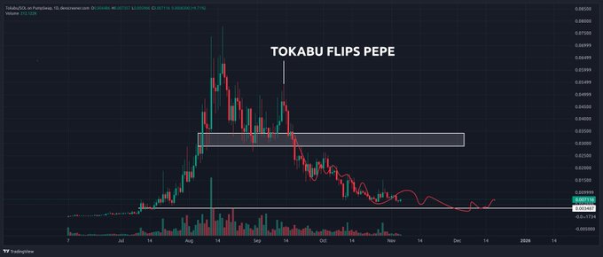 A TradingView candlestick chart of Tokabu/USDT (TOKABU) on Perpetuals shows a 1-day timeframe with an annotation "TOKABU FLIPS PEPE" pointing to a consolidation zone around $0.0005, suggesting the token's price has overtaken Pepe's market position—aligning with kaleo's speculation that Thinking Cat (Tokabu) could rank alongside Pepe and Doge.