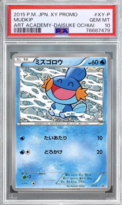 A PSA 10 graded Japanese Pokémon card featuring Mudkip (ミズゴロウ), graded by P.M. JPN. XY PROMO MUDKIP GEM MT 10, with artwork credited to Daisuke Ochiai.