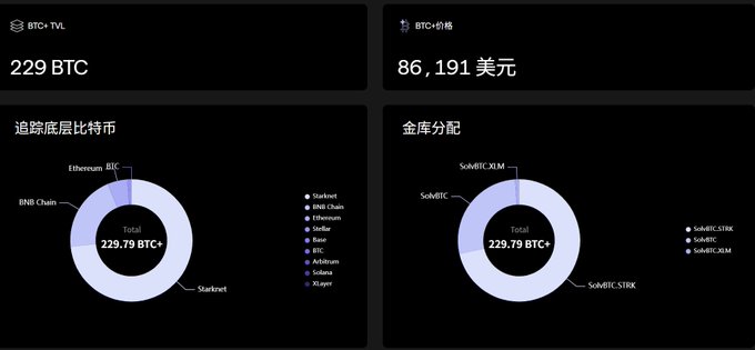 A dashboard displaying "229 BTC" and "86,191 美元" along with donut charts for "追踪底层比特币" (Bitcoin distribution by chain) and "金库分配" (Treasury allocation), primarily showing Starket and SoWBTC holdings.