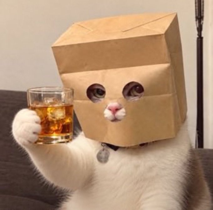 A white cat with a paper bag over its head, two eye holes cut out, holds up a glass of what appears to be whiskey or bourbon in a toast-like gesture, humorously embodying the "bag holder" crypto meme referenced in the post about earning $100/hour with the $ZCAT token despite zcash's recent struggles.