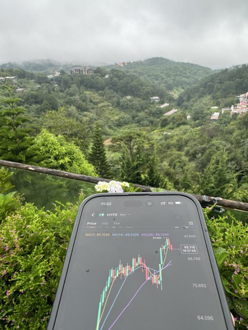 A smartphone displaying a HYPE token price chart on a mountain overlook with a misty, forested valley view.