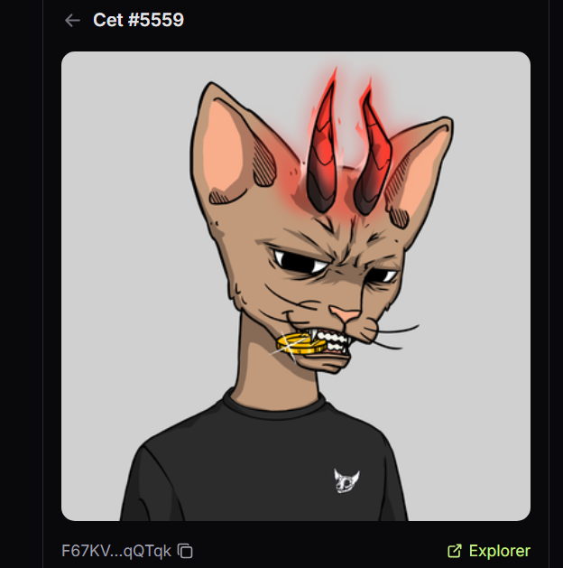 The image shows a CryptoPunk-style NFT character (#5559) featuring a hairless cat with red demon horns, gold grills, and a black t-shirt displaying the "CryptoPunks" logo. The post congratulates a new member (@GonzalitoSNFT) on joining the community after receiving a prize, suggesting this demonic cat NFT was their giveaway reward.
