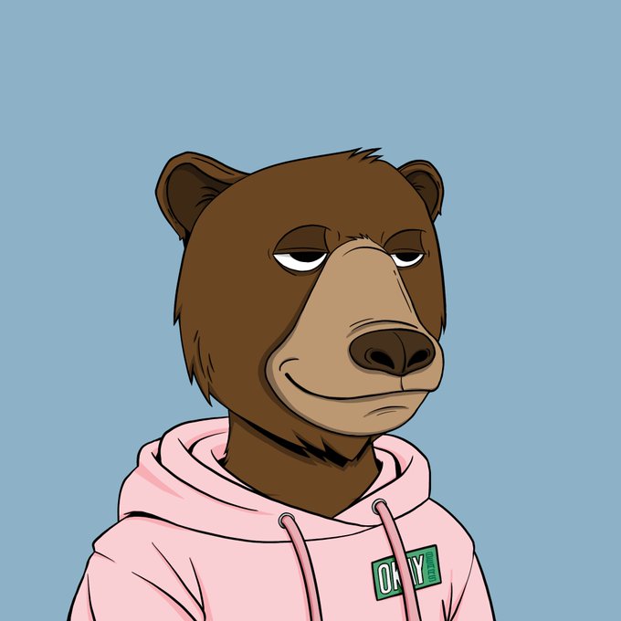 A cartoon illustration of a brown bear with a smug expression wearing a pink hoodie featuring a green 'ONLY' patch on a light blue background.