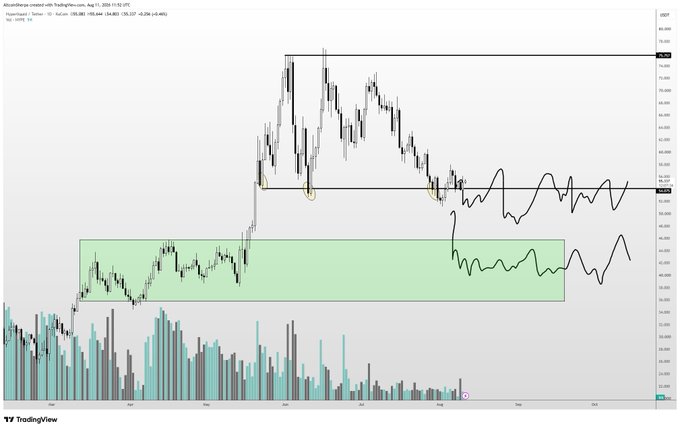 A candlestick chart of $HYPE on Coinbase (HYPE/USD) from TradingView shows a significant rally peaking near $49.86 in August before retracing into a horizontal support zone around $32-39 (highlighted in green), with handwritten arrows suggesting potential consolidation or further downside before accumulation. The price action illustrates the post's view that $HYPE has strong downside support but may need more time and could be bought cheaper later for a passive accumulation strategy.