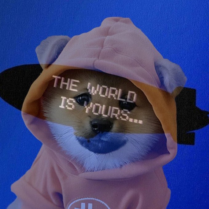 A digitally edited image of a cute puppy in an orange hoodie with text overlay reading 'THE WORLD IS YOURS...' in a retro font against a blue background.