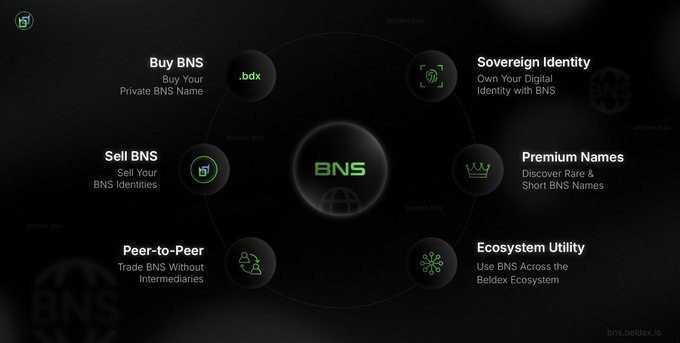 An infographic displaying the BNS (Beldex Name Service) ecosystem with features including 'Buy BNS', 'Sell BNS', 'Sovereign Identity', 'Premium Names', 'Peer-to-Peer', and 'Ecosystem Utility'.