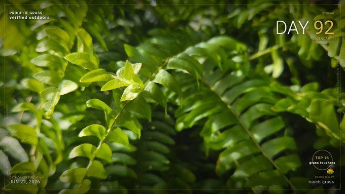 The image shows a close-up view of a plant with large, lush green leaves. The background appears to be blurred, but there are some text elements that read "Day 92" and "#proofofgrass #touchgrasses". These elements seem to be related to the content of the post on social media or a website.