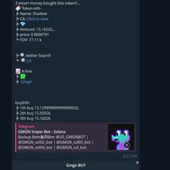 A screenshot of a Discord chat showing a $69.99 ticket purchase for a "SMASH Super Bori - Selena" Solana memecoin via the jup.ag aggregator.