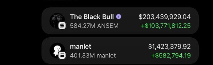 Crypto portfolio showing holdings of 'The Black Bull' ($203M, +$103M) with 584.27M ANSEM and 'manlet' ($1.4M) with 401.33M manlet.