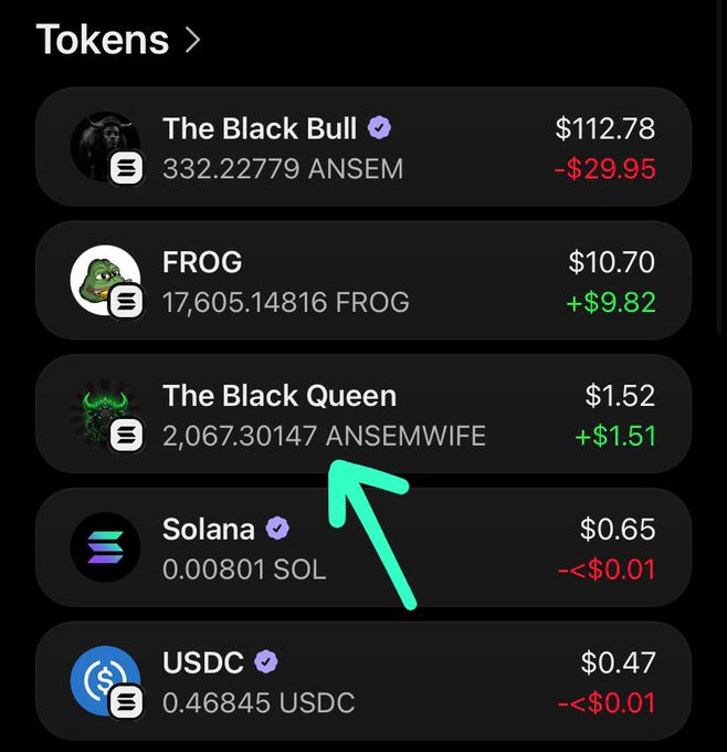 A cryptocurrency portfolio screen showing tokens like 'The Black Bull' (ANSEM), FROG, 'The Black Queen' (ANSEMWIFE), Solana (SOL), and USDC with their respective prices and balances.