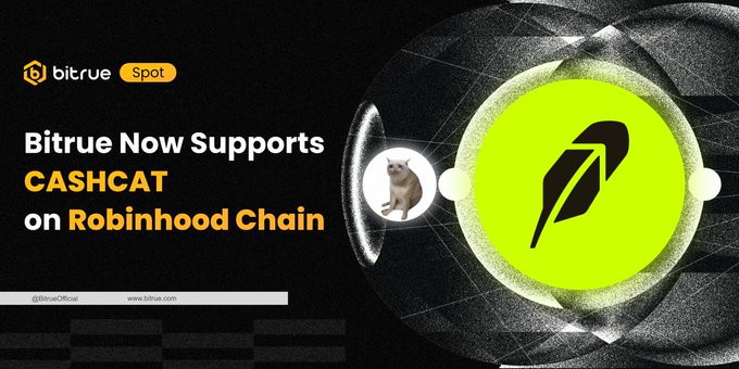 The image is a Bitrue promotional graphic announcing support for the CASHCAT token on Robinhood Chain, featuring the Bitrue Spot logo, a cat mascot, and a large green feather/leaf icon, with text reading "Bitrue Now Supports CASHCAT on Robinhood Chain." It visually ties into the post by showcasing Bitrue's listing announcement as a key reason for the growing attention around $CASHCAT as a community memecoin tied to Robinhood's origins.