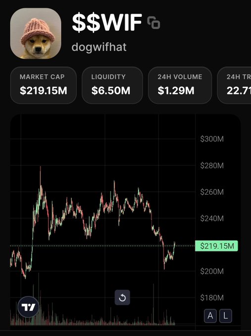 Token profile page for $WIF (dogwifhat) showing a market cap of $219.15M, $6.50M liquidity, and $1.29M 24H volume, with its price/market cap chart and the iconic dog in a pink hat logo.