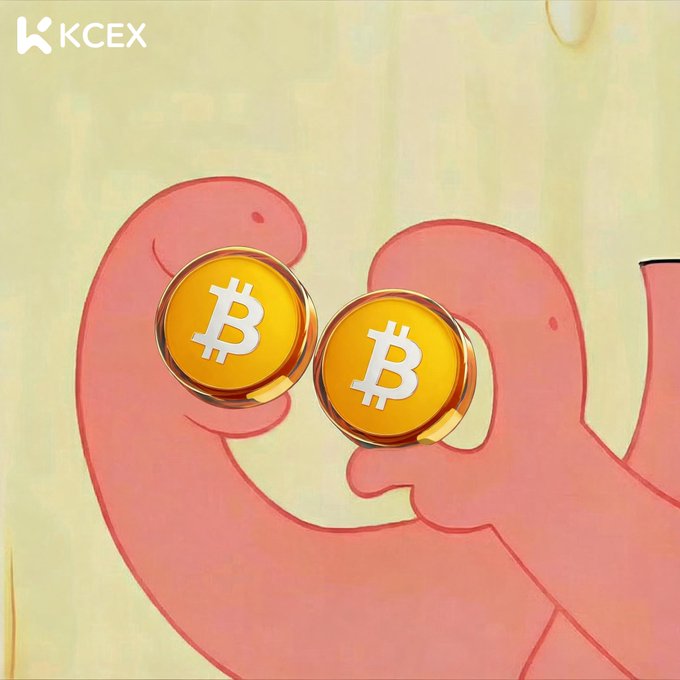 A cartoon illustration of pink intestines holding two Bitcoin coins, with the KCEX logo in the top left corner.