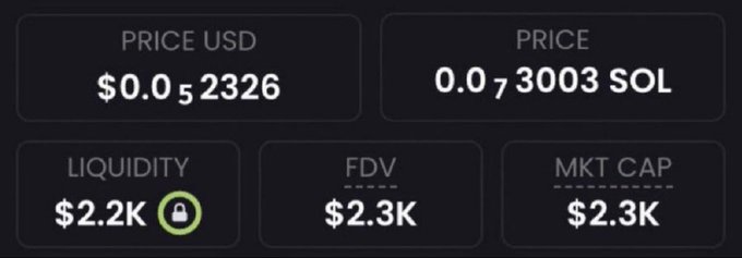 The image shows a token's price metrics displaying a price of $0.052326 USD (0.073003 SOL), with extremely low liquidity of $2.2K and a market cap of just $2.3K. The context of "I have the next 1000x" is humorously undermined by these red flags—particularly the locked liquidity and tiny market cap, which are hallmarks of high-risk microcap tokens rather than legitimate investment opportunities.