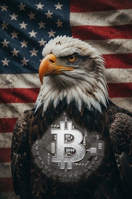 The image features a bald eagle with its wings spread wide, positioned against an American flag backdrop. The eagle's head is turned towards the viewer, giving a clear view of its sharp beak and talons. In the center of the eagle's body, there is a design that resembles a Bitcoin symbol or code. This unique combination of elements creates an interesting visual contrast between nature and technology.