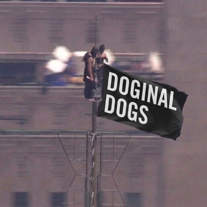 Two figures are perched high atop a flagpole, unfurling a large black flag reading "DOGINAL DOGS" against a hazy urban backdrop, visually embodying the post's "Sky's the Limit" theme by literally raising the Doginal Dogs flag to new heights.