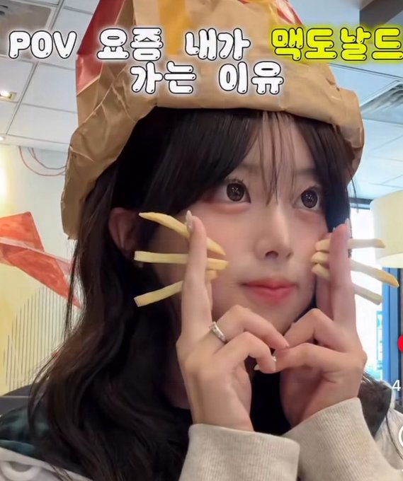 A young woman wearing a brown paper bag on her head like a hat, with french fries held against her cheeks like whiskers, with Korean text overlay reading 'POV 요즘 내가 맥도날드 가는 이유'.