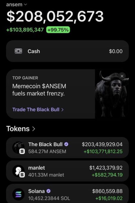A crypto portfolio screenshot titled "ansem" displays a total balance of $208,052,673 with a 99.75% gain (+$103,895,347), driven almost entirely by a $203.4M holding in 584.27M "Black Bull" ($ANSEM) memecoin tokens, plus smaller positions in "manlet" ($1.42M) and Solana ($860K). The image illustrates the post's point by showing how the headline "wallet" wealth is largely an illusion—tied to a single memecoin with only ~$2.4M liquidity, meaning the $200M+ valuation exists mostly on paper and could vanish instantly given the thin market depth.