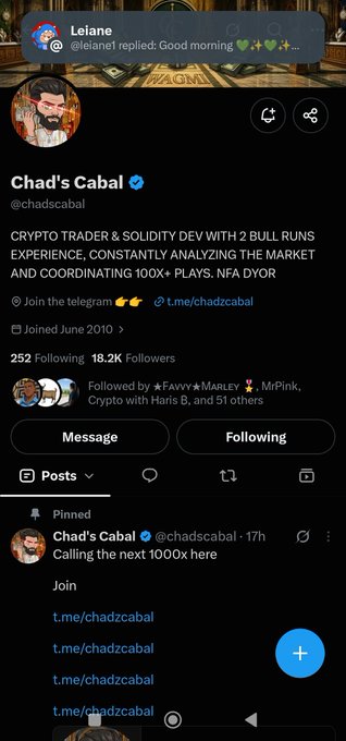 A Twitter profile for "Chad's Cabal" (@chadscabal) describes him as a "CRYPTO TRADER & SOLIDITY DEV" with a pinned tweet reading "Calling the next 1000x here" linking to t.me/chadzcabal.