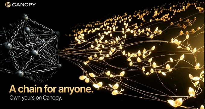 The image is a promotional graphic for Canopy featuring a glowing golden neural network transforming into a blockchain structure, with the "CANOPY" logo in the top-left and the tagline "A chain for anyone. Own yours on Canopy." displayed at the bottom. The visual metaphor of interconnected nodes and growing network connections aligns with the post's message about Canopy's Blockchain Incubator Model, illustrating how the platform helps new blockchain projects build infrastructure, expand their network, and grow their community from the ground up.