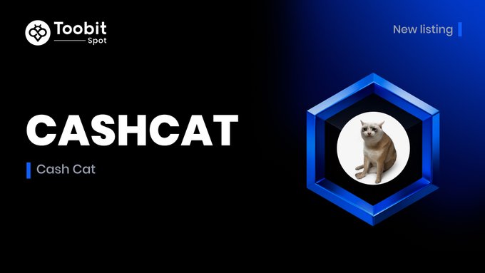 A promotional banner for the cryptocurrency CASHCAT on the Toobit Spot exchange, featuring a new listing badge and an image of a cat inside a hexagonal frame on a dark blue background.