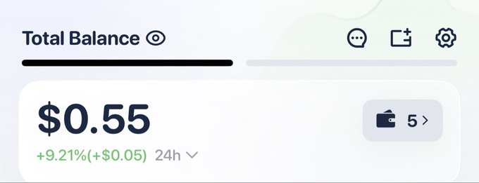 A wallet balance screen showing a total balance of $0.55, up 9.21% (+$0.05) over 24 hours, with access to 5 wallet accounts.
