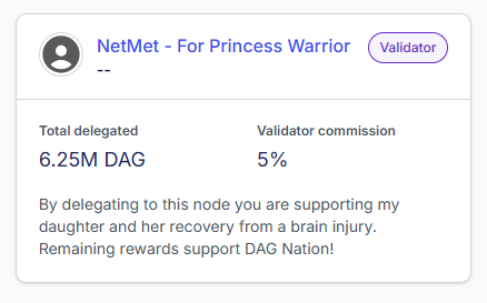 A digital interface card for 'NetMet - For Princess Warrior' tagged as 'Validator', showing 'Total delegated: 6.25M DAG', 'Validator commission: 5%', and a message about supporting a daughter's recovery from a brain injury.