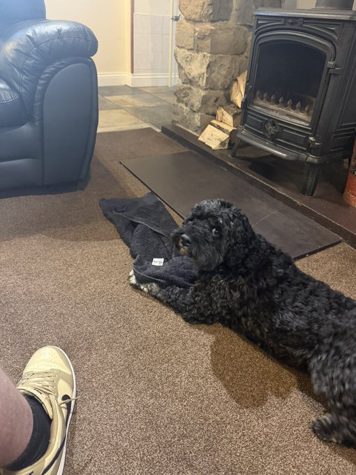 A black dog lies on a dark towel on the floor in front of a wood-burning stove, with a person's sneaker-clad foot visible in the foreground.