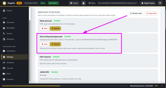 DogeCoin mining dashboard interface highlighting the 'Solo mining (background)' service running with a payout address.