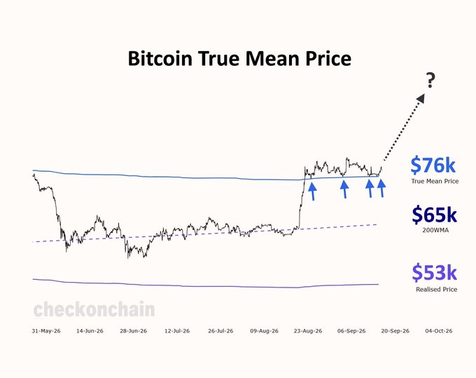 A Bitcoin price chart titled "Bitcoin True Mean Price" from checkonchain shows BTC's price action from May to October 2026 hugging the $76k True Mean Price line, with reference levels at the $65k 200WMA and $53k Realised Price, and an annotated question mark suggesting potential further upside—visually reinforcing the post's observation that BTC is "walking" along the true market mean.