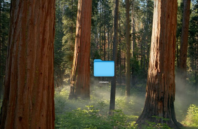A serene forest scene with tall trees and misty undergrowth, overlaid with a blue computer folder icon labeled 'ZDOMEX' in the center.